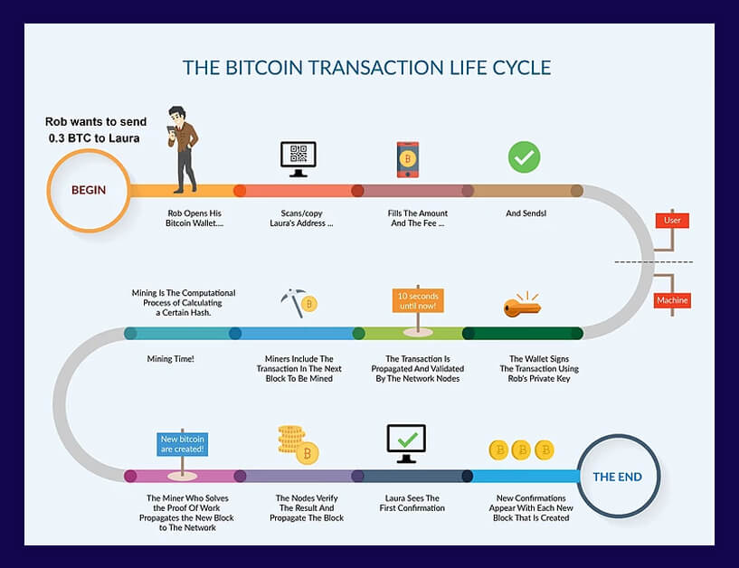 reasons behind rise and fall of cryptocurrencies