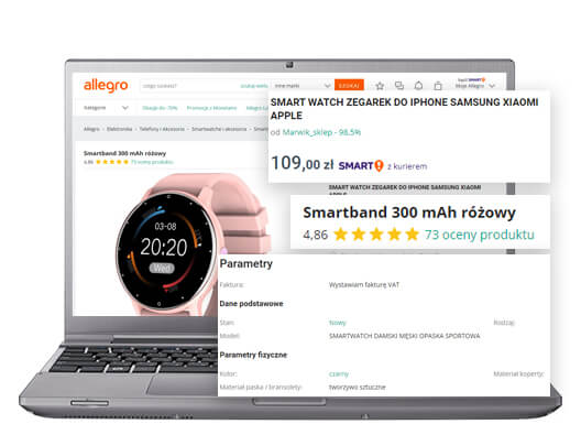 Allegro Product Data Scraping Services
