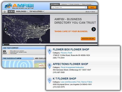 Scraping Data from Amfibi Business Directory