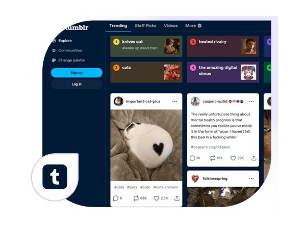 how-we-can-scrape-data-from-tumblr